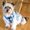 Photo of Biddy A.