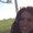 Photo of Amanda M.