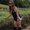 Photo of Analyn D.