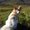 Photo of Tricia S.