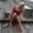 Photo of Jeni M.