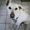 Photo of Bobbi A.