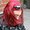 Photo of Heather H.