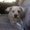 Photo of Mutt M.
