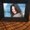 Photo of Liz C.