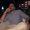 Photo of Gevork G.