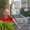 Photo of Patty M.