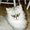 Photo of Debby N.