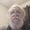 Photo of Dennis A.