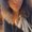 Photo of Ardis M.