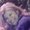 Photo of Traci A.