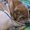 Photo of Qype User (chanta…)