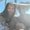 Photo of Suni S.