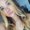 Photo of Averie-Christal D.