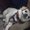 Photo of Millie L.