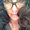 Photo of Dawn B.