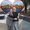 Photo of Heather S.