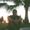 Photo of Damian M.