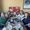 Photo of Debi M.