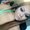 Photo of Rady P.