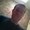 Photo of Chris H.