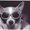 Photo of Rixie M.