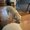 Photo of Nil N.