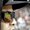 Photo of Michael V.