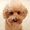 Photo of Sherry Y.