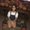Photo of Reema S.