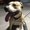 Photo of Qype User (Leon_d…)