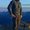 Photo of Matt T.