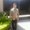 Photo of Raimundo L.