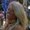 Photo of Tamera M.