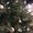Photo of Q C.