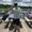 Photo of Jerem S.