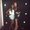 Photo of Lexi S.