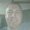 Photo of Keith V.