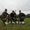 Photo of Dwight S.