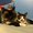 Photo of Litta V.