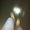 Photo of Satyam B.