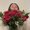 Photo of Aliza H.