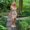 Photo of Adeline G.