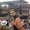 Photo of Tim T.