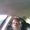 Photo of Jonny P.