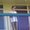 Photo of Chandrika J.