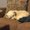 Photo of Sarbi D.