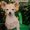 Photo of Guillermina M.