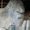 Photo of Brenda P.