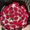 Photo of Jojo D.